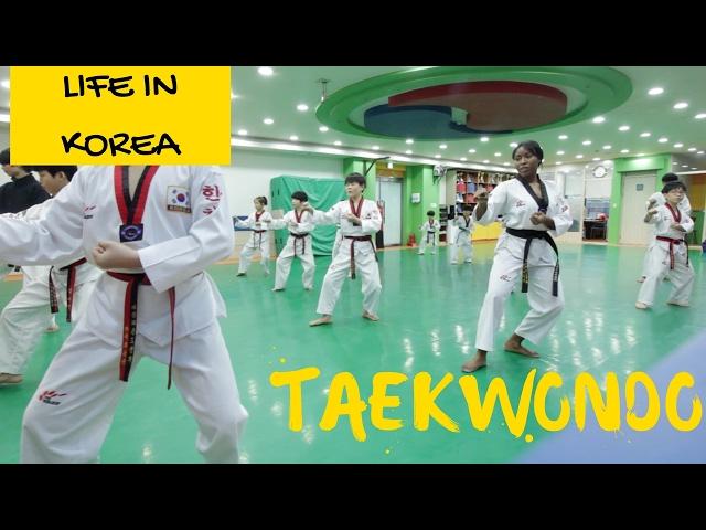 Life In Korea || Taekwondo vlog Black Belt edition