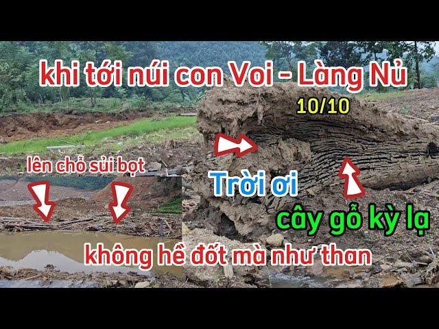 Cận cảnh Làng Nủ - Bất ngờ với cây gỗ kỳ lạ sát chân núi con Voi !