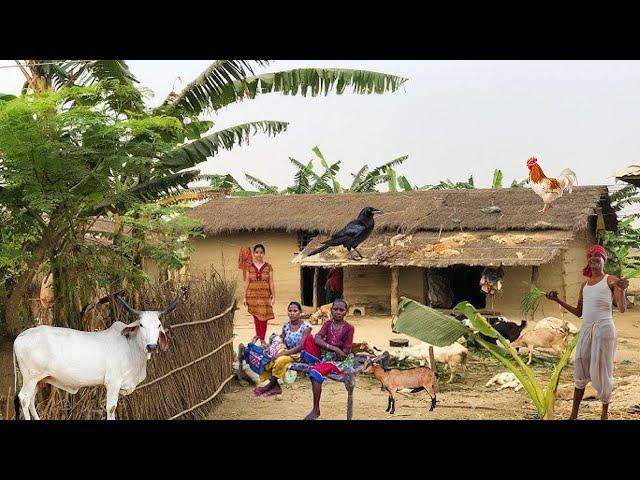 Some Villages Of India Should Be Seen | Most Poor Village In Uttar Pradesh, India | Indian Village