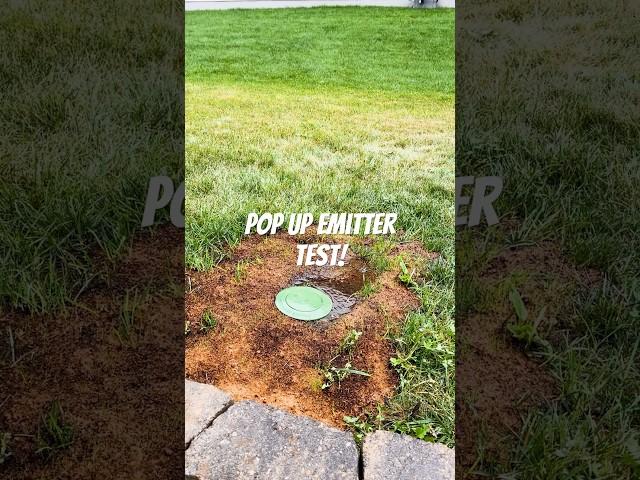 Real World Buried Downspout with Pop up Emitter Test!