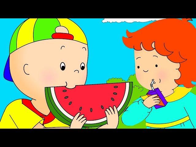 Caillou Türkçe HD - Caillou ve Piknik | kayu cizgi filmi | YENI | Caillou Turkish