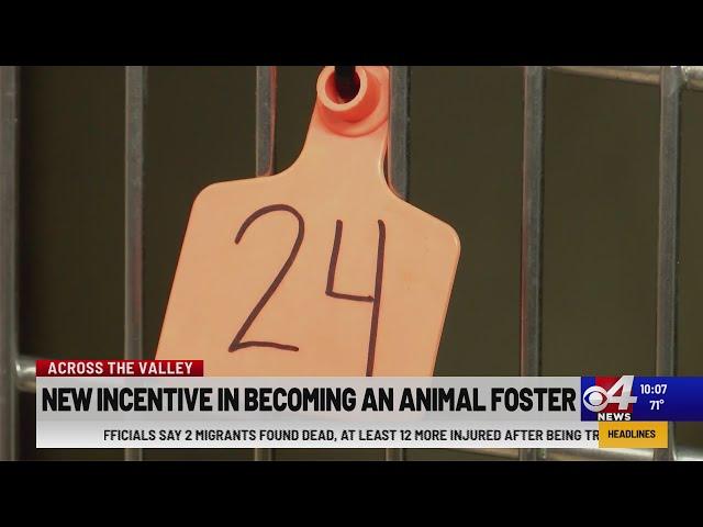 Animal foster incentives