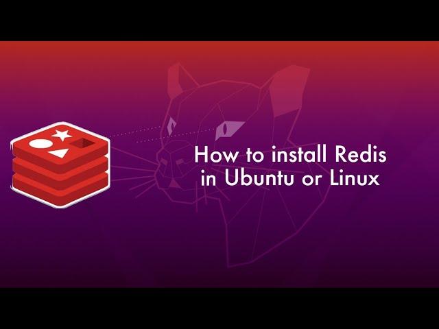 How to install Redis in ubuntu (ubuntu20.04)
