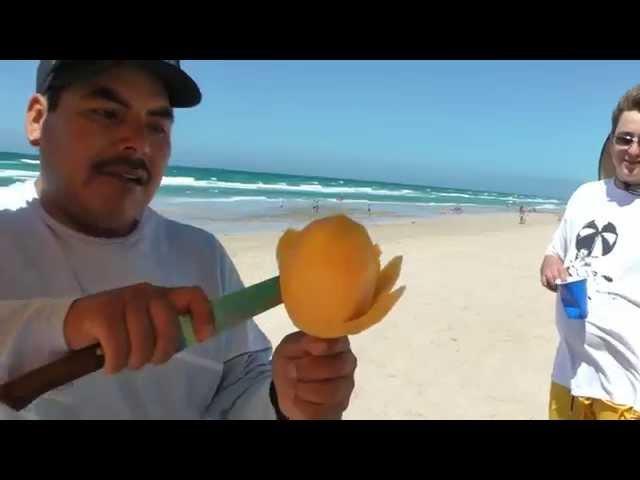 Mango flower on a stick Mexico Rocky Point beach