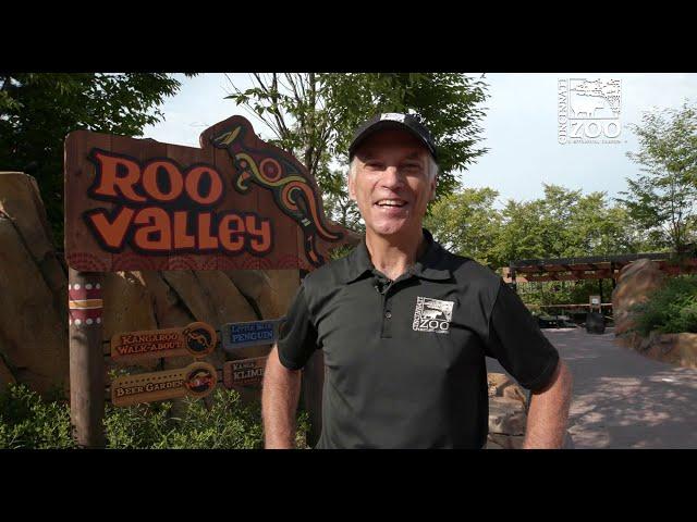 Roo Valley Walk-through - Cincinnati Zoo