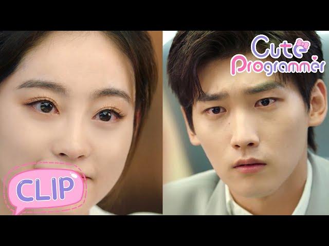 Cute Programmer 21 | Lu Li finally made a decision to divorce!