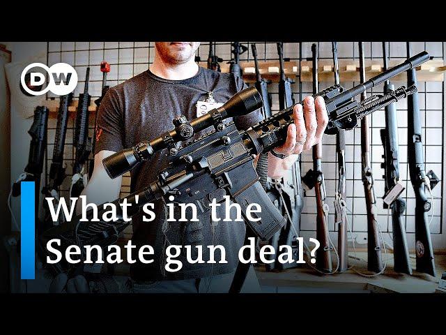 US Senate gun control deal: What's in it and how far does it go? | DW News