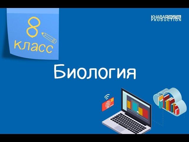 Биология. 8 класс. Понятия «Гормоны», «Гуморальная регуляция»