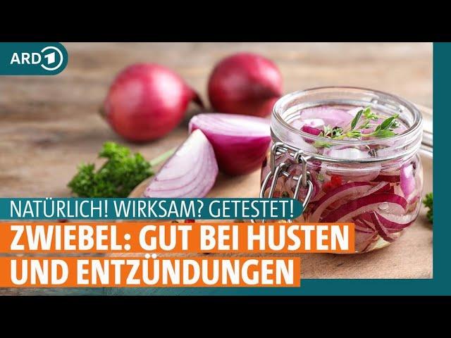 Zwiebel: Hausmittel gegen Husten, Entzündungen und mehr | NATÜRLICH! WIRKSAM? GETESTET! | ARD GESUND