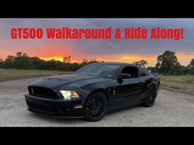 TXSU: Austin’s Shelby GT500 (Walkaround + ride along)