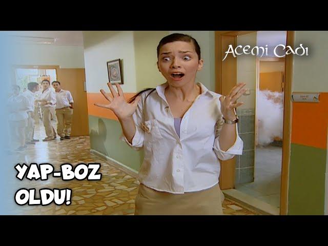 Ayşegül, Tuğçe'ye Öyle Bir Şey Yaptı Ki! - Acemi Cadı Özel Klip