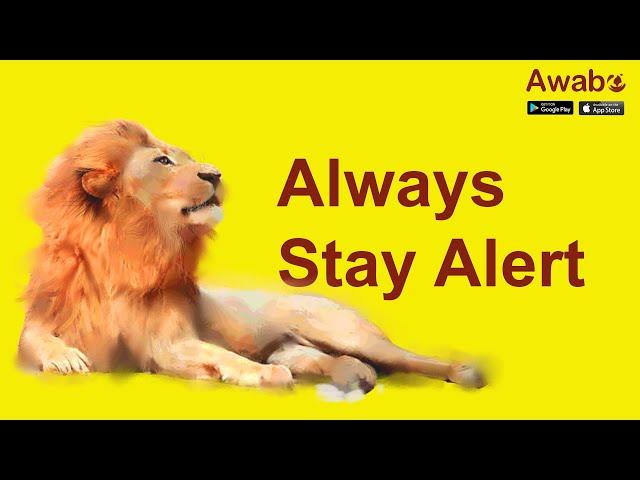 Always Stay Alert | English Stories | Awabe