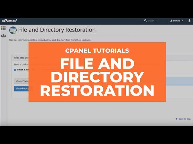 WHM Tutorials - File and Directory Restoration