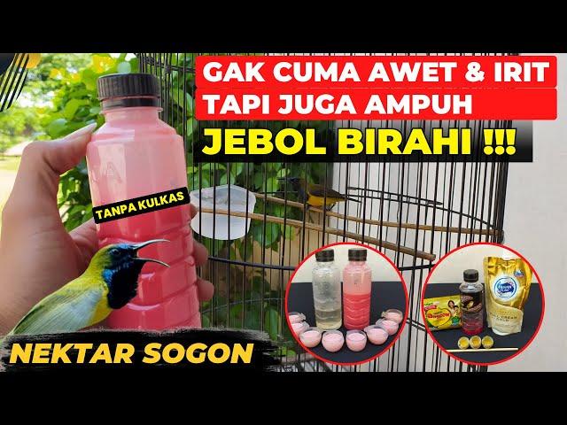 NEKTAR SOGON AMPUH NAIKAN BIRAHISUPER IRIT & AWET TANPA KULKAS