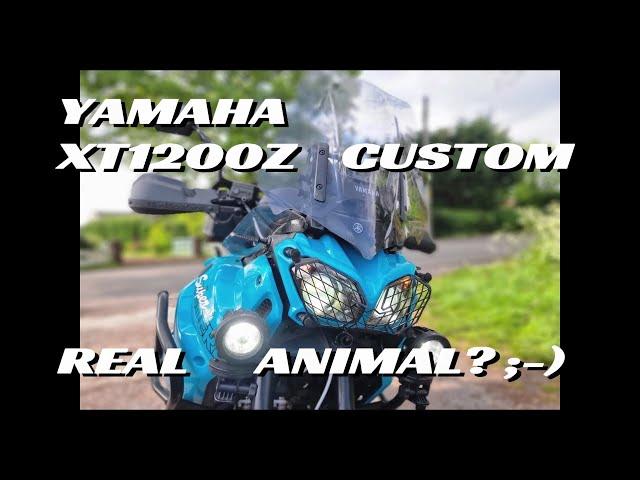 YAMAHA XT 1200 Z REAL ANIMAL 