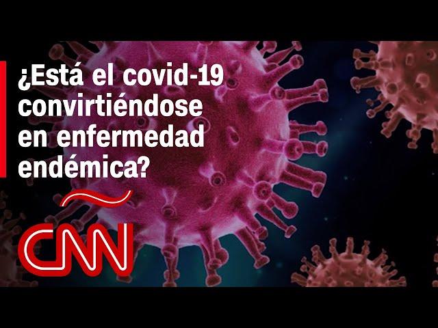 A dos años del inicio de la pandemia, ¿podría  el covid-19 convertirse en una enfermedad endémica?