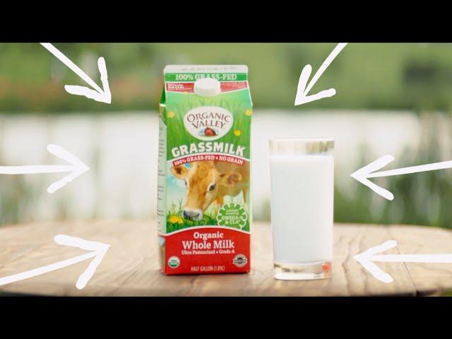 Grassmilk! With Even More Outside | Organic Valley