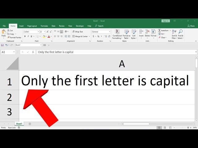 Capitalize Only the First Letter of a Sentence Instantly in Microsoft Excel