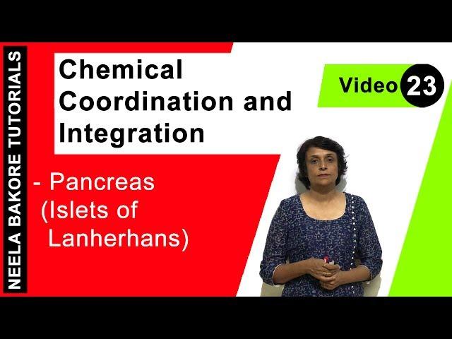 Chemical Coordination and Integration | NEET | Pancreas (Islets of Langerhans) | Neela Bakore