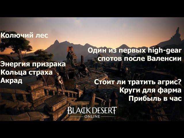 BDO Гайд Колючий лес. Круги для фарма, кольцо страха, энергия призрака, Акрад, комплект Ра Орзеркии