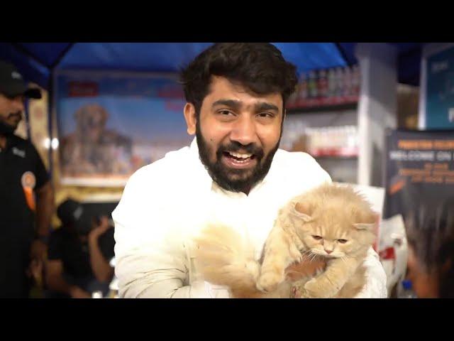 Biggest Cat & Dog Show in Pakistan | Hamza Aslam in Pet Show | Cat Show In Lahore EME Sports Complex