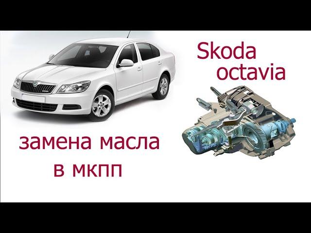 замена масла в мкпп шкода октавия А5 , Skoda Oktavia A5 , 1.6 MPI