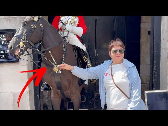 SILLY IDIOT TOURIST GRABS THE REINS AND THE KING'S GUARD DID THIS at Horse Guards!