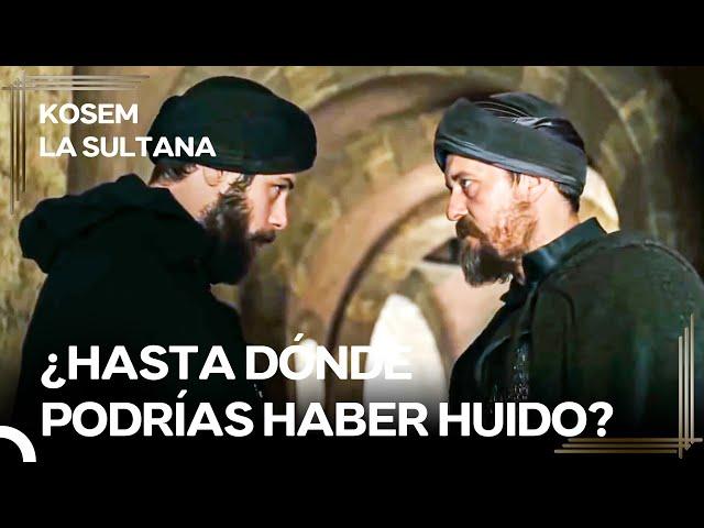 Zülfikar Encontró El Refugio Del Príncipe Fugitivo | Kosem La Sultana Episodio 50