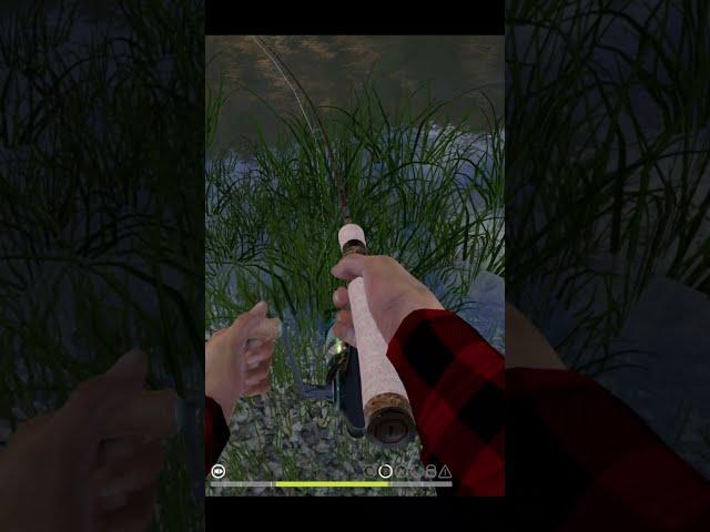 Catching grayling with light spinning. Fishing in a mountain river RF4   #shorts #fishing #gaming