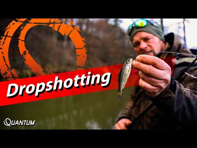 Raubfischangeln am Fluss mit Dropshot Montage und Köderfisch