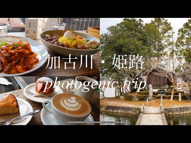 【兵庫カフェ・写真旅】加古川駅近くのオシャレなカフェと姫路の幻想的な神社へ行ってきました！