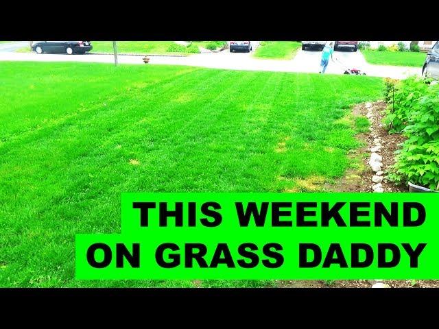 This Weekend on Grass Daddy