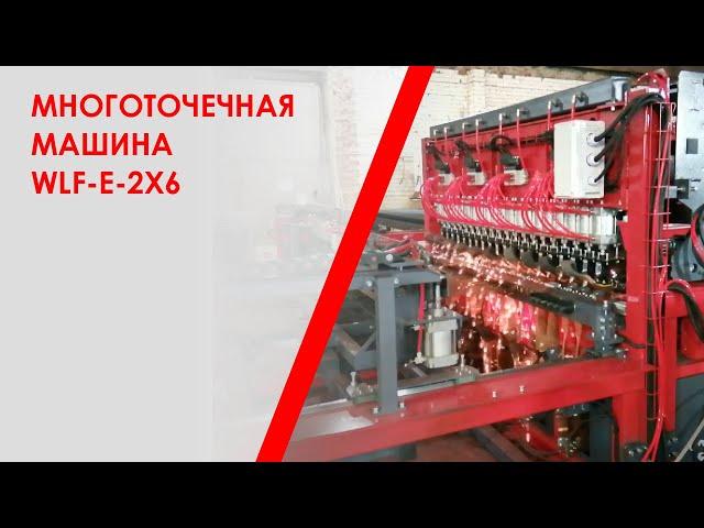 Многоточечная машина WLF-E-2x6