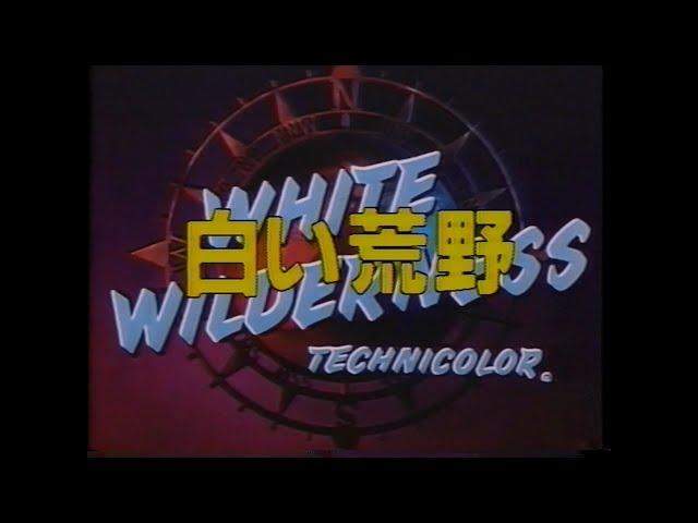 White Wilderness Japanese VHS Opening (Disney) 1987 60FPS