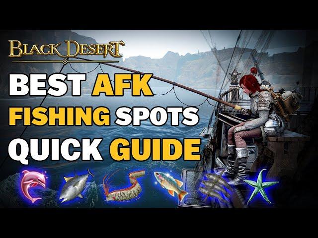 BDO | Highest Passive Income | 1Bil Every Night - Best AFK Fishing Spots | Quick Guide