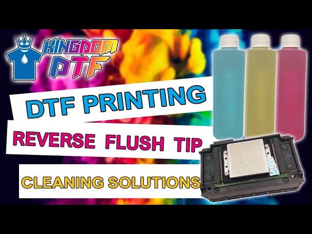 How to do Printhead Reverse Flush & Different Cleaning Solutions for Maintenance DTF Printers