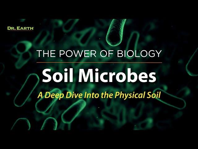 Soil Microbes - Human Health Starts in the Soil.