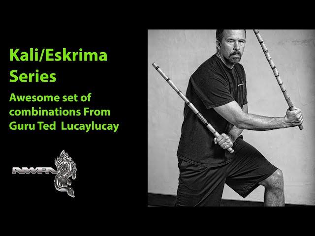 Kali/Eskrima Series 12 Killer Combinations