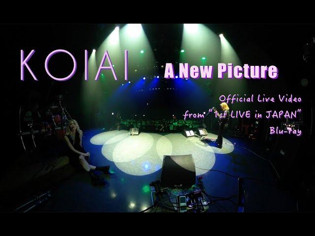 KOIAI - A New Picture  (Official Live Video from "1st LIVE in JAPAN" Blu-ray)