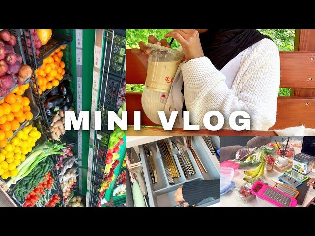 Mini vlog | Lots of cooking, fridge restock and organising, productive day of a college student