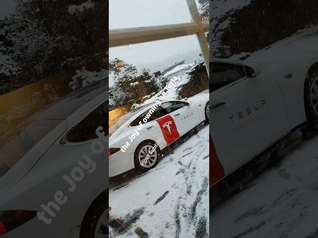 #teslaranger #tesla #mobileservice #shorts