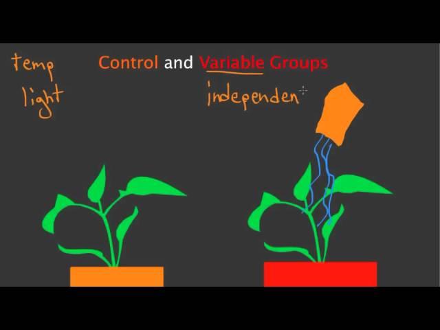 Control and Variable Groups