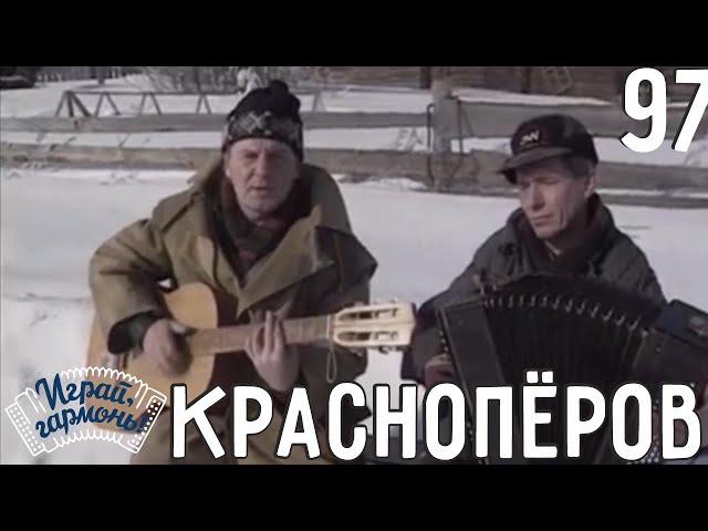 Играй, гармонь! | Юрий Краснопёров и Владимир Кондаков (Пермский край) | Страда