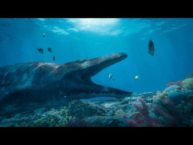 Prehistoric Planet: Old mosasaurus is cleaned in reef - Apple TV