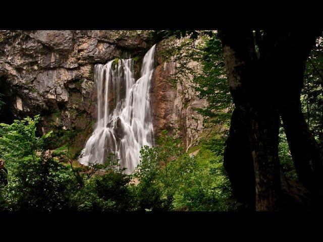 Красивая природа Абхазии / Beautiful nature of Abkhazia