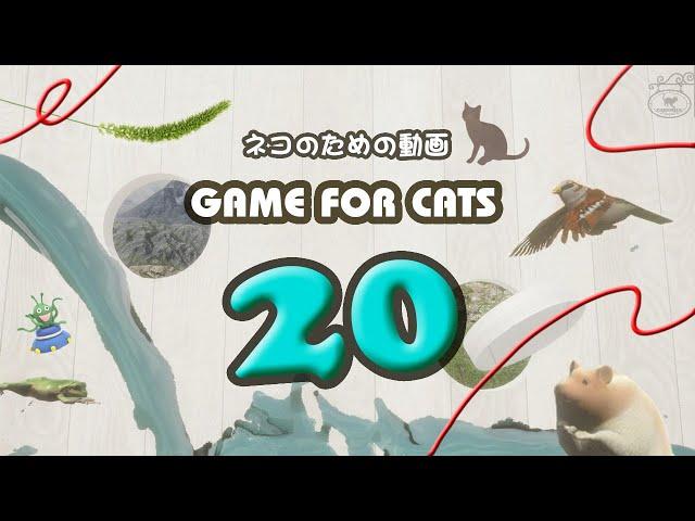 【猫用動画MIX20】水・カエルなど 30分 GAME FOR CATS 20