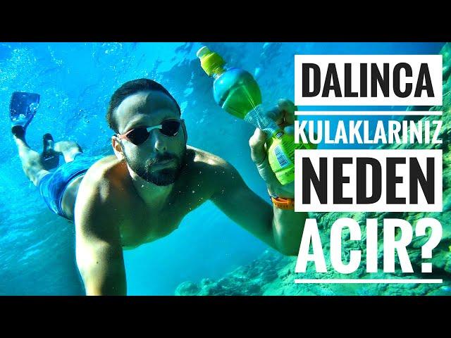 Dalınca Kulaklarımız Neden Acır? | Kulak Eşitleme