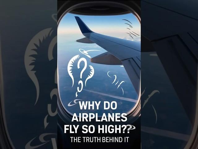 Why Planes Fly So High The Science Explained #shorts