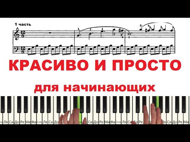 EASY BEAUTIFUL MELODY on the piano (EASY)