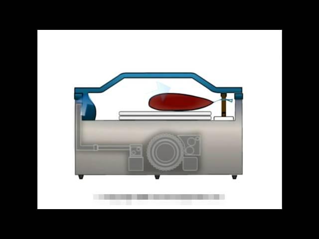 How does vacuum packing machine work,Qingdao Ausense